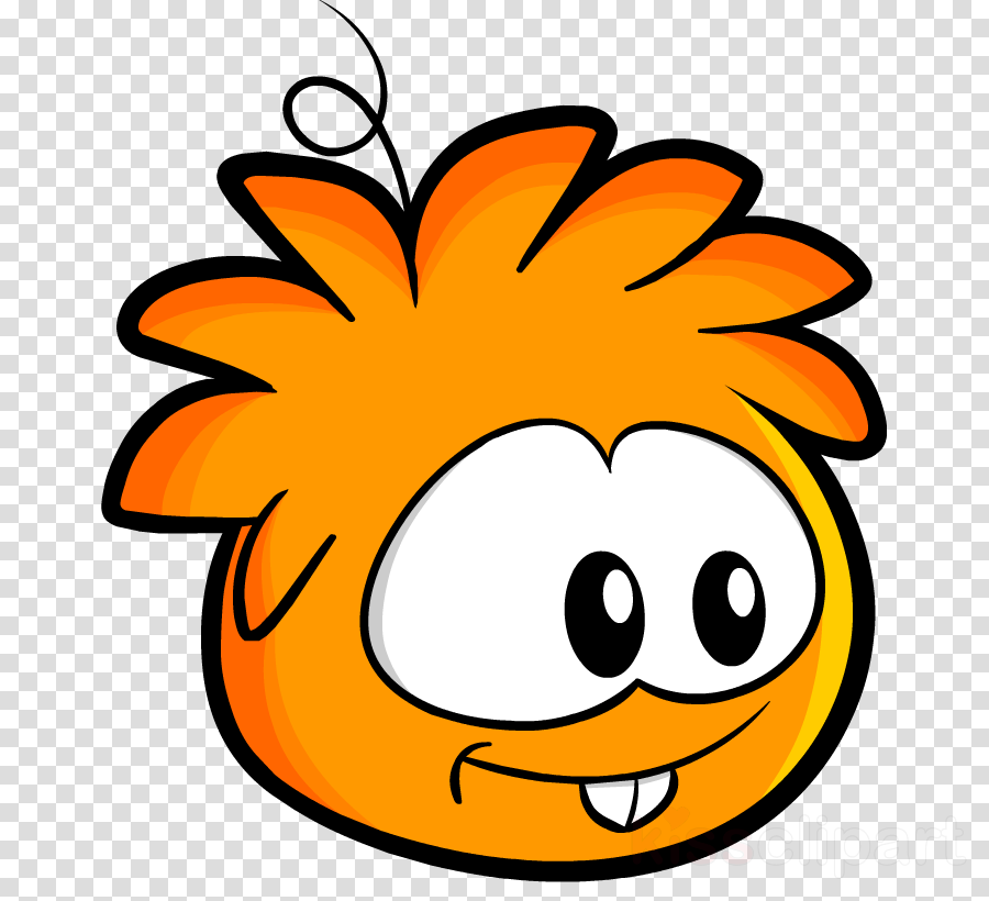 Logo Camera Icon Png Transparent (900x820)