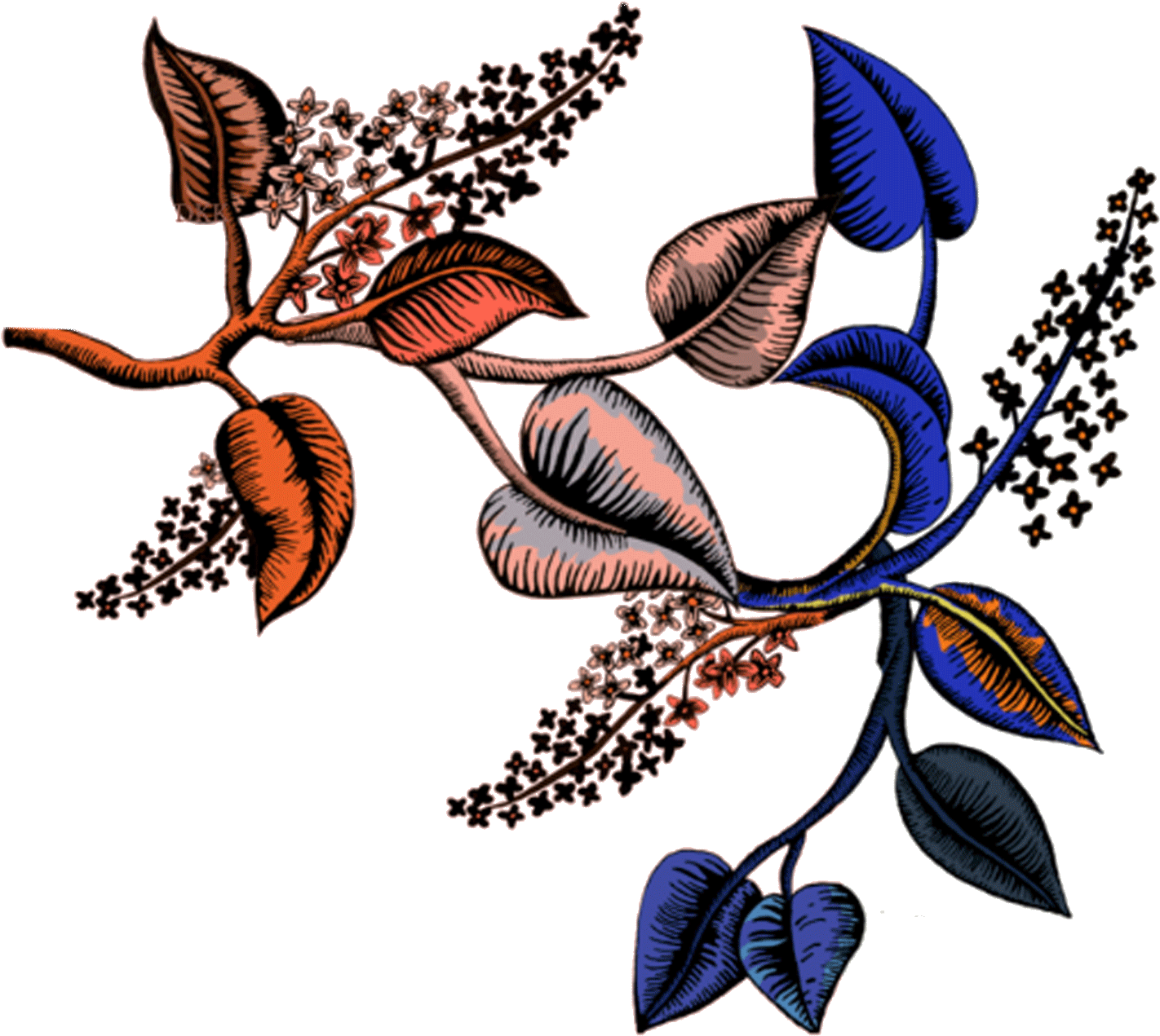Studio Dare Specialises In Creating And Developing - Illustration (1500x1437)