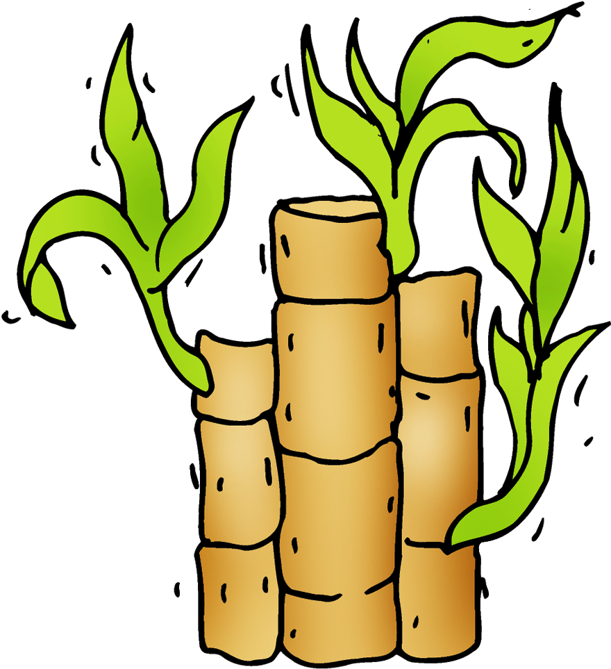 Bamboo - Bamboo (1000x1000)