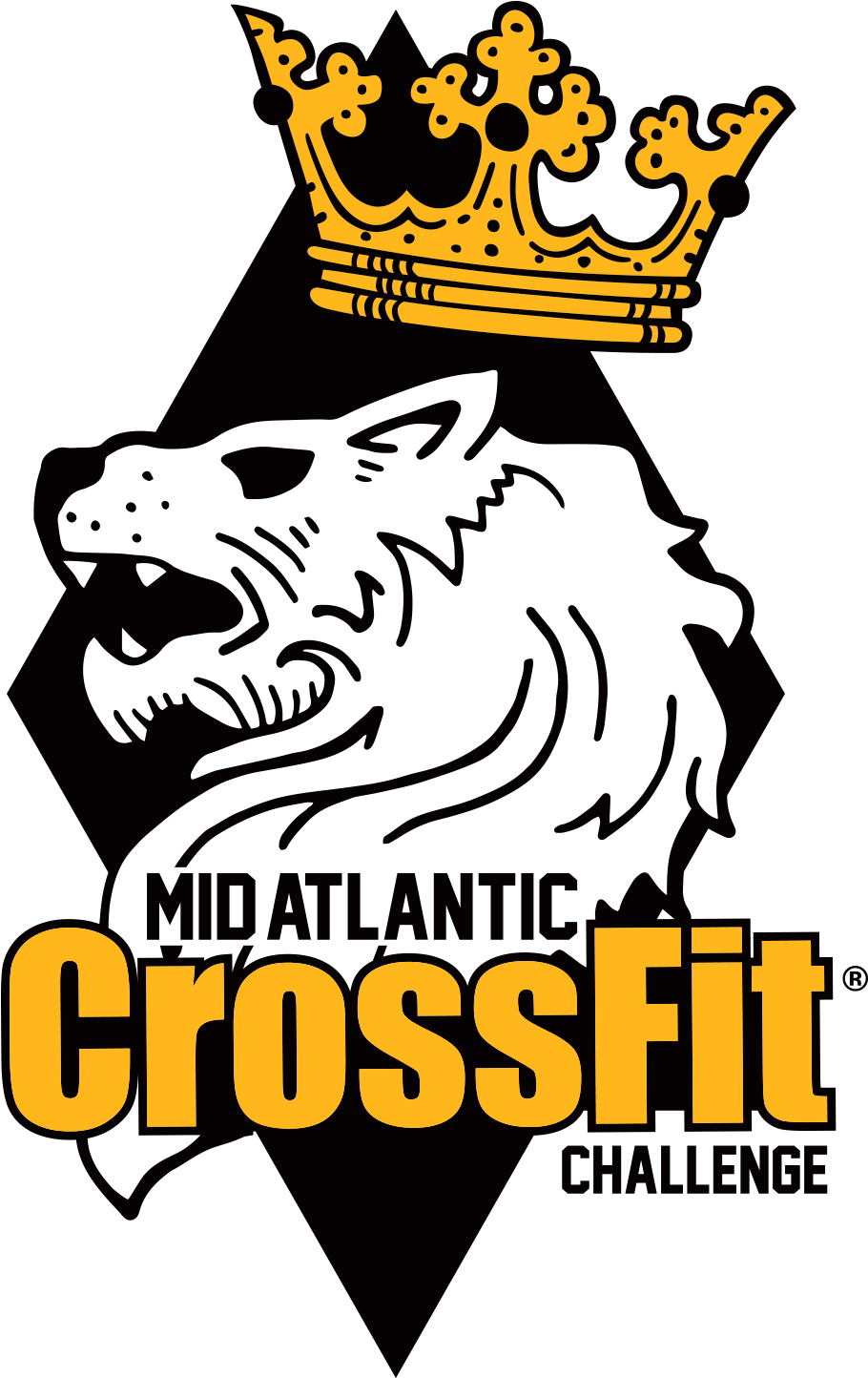 Mid Atlantic Crossfit Challenge (986x1500)