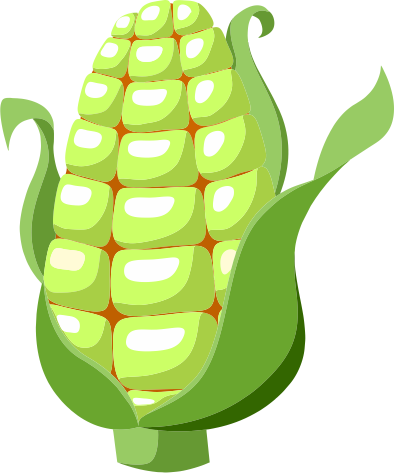 Green Maize - Illustration (394x473)