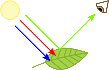 Chromophore - Chlorophyll Absorbs Light (469x305)