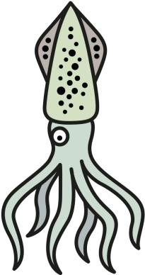Squid - Squid (450x450)