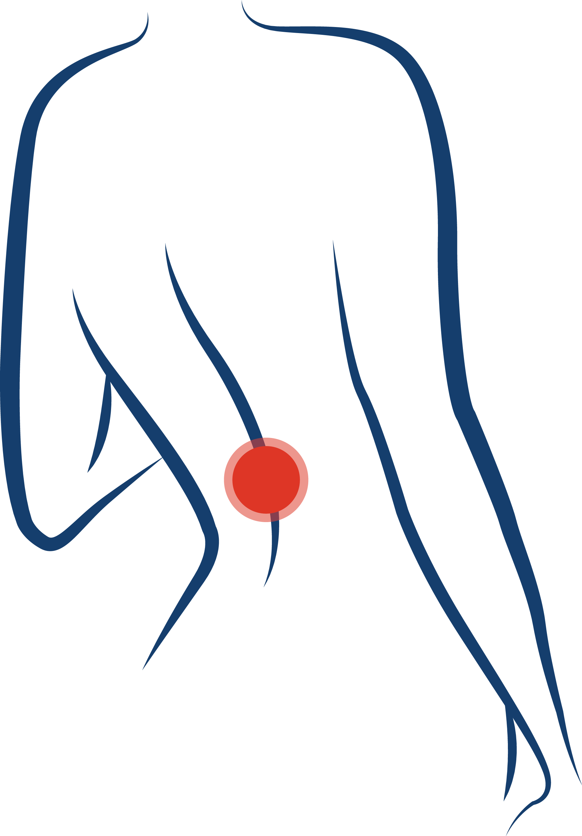 Back Pain New - Illustration (1939x2783)