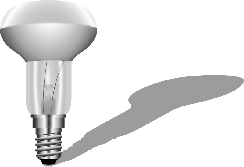Incandescent Light Bulb (800x546)