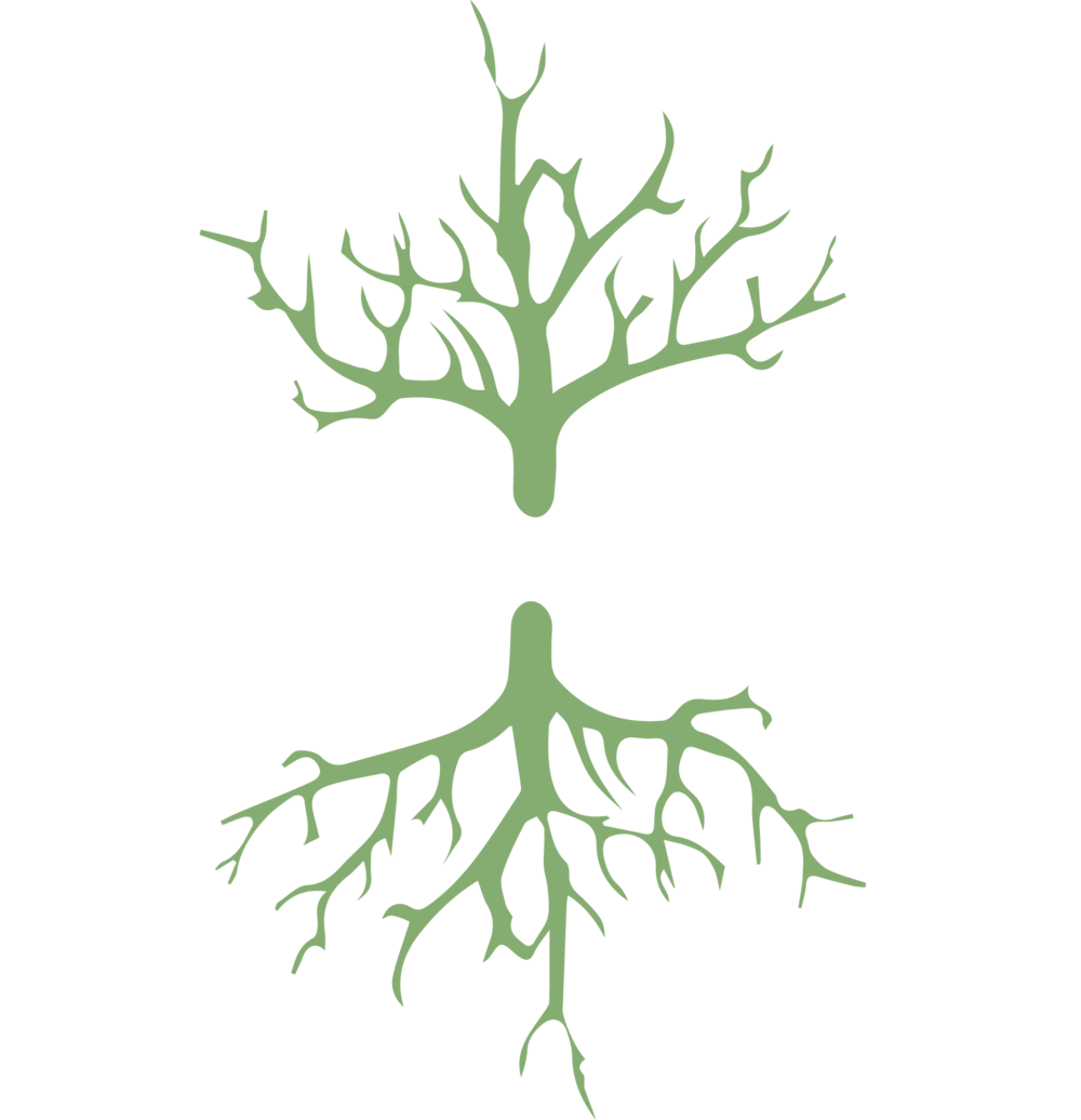 Root-01 Format=1500w - Root-01 Format=1500w (1000x1036)
