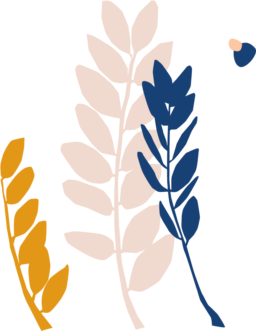 Botanical Name - Illustration (961x1306)