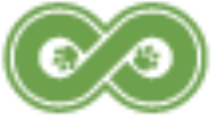Circle (512x512)