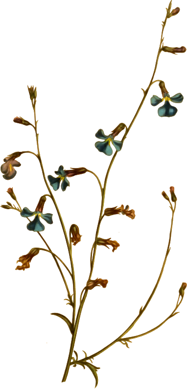 Medium Image - Twig (382x792)