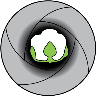 Iris - Pittsburgh Steelers (360x360)