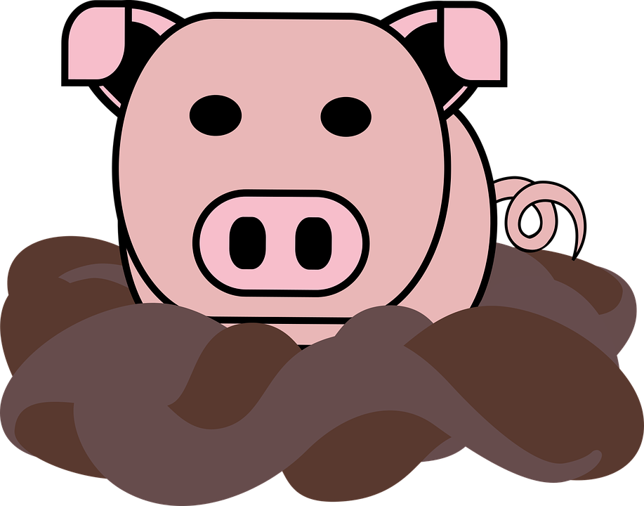 Pig Graphics - Pig Graphics (917x720)