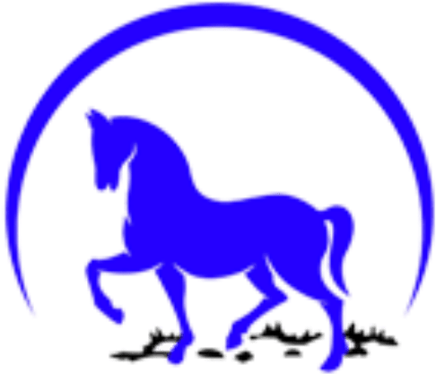 Horse (512x512)