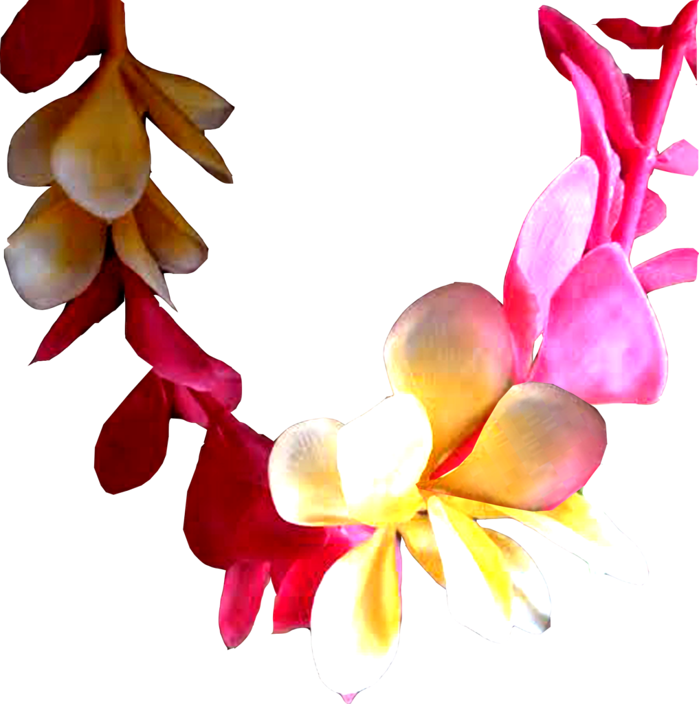27 Sep 2017 - Artificial Flower (1017x1024)