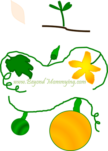 Rhymes For Learning Science Concepts For Early Elementary - Rhymes For Learning Science Concepts For Early Elementary (357x500)