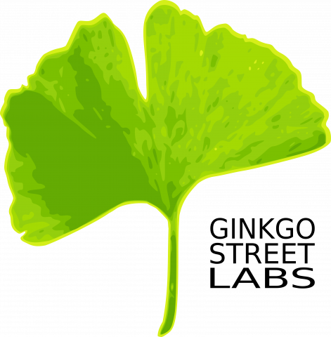 Maidenhair Tree (471x480)