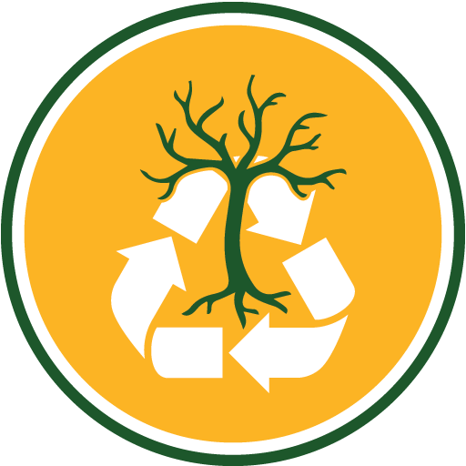 Cartoon Tree Branch Drawing (512x512)