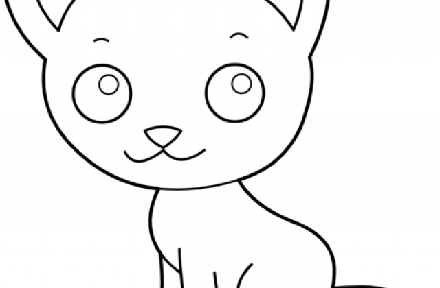 Zoom - Kitten (640x420)