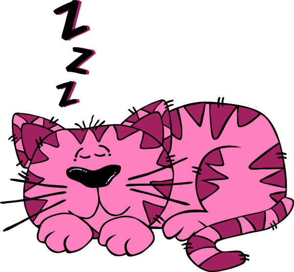 Pink - Cartoon Cat (600x554)