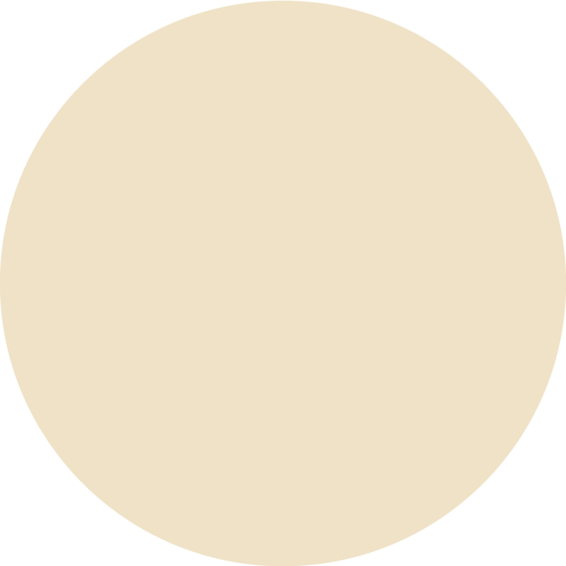 Dog Bone Graphic - Pie Chart (800x800)