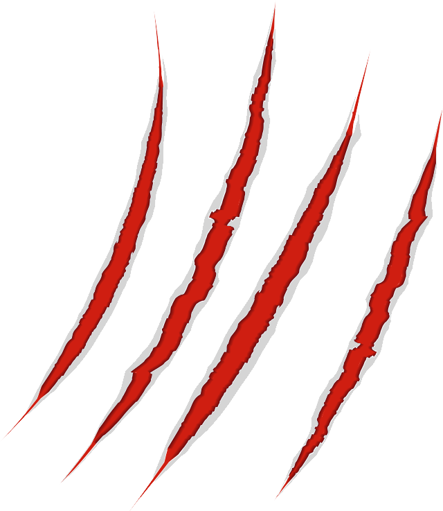 Scar Png - Portable Network Graphics (640x737)