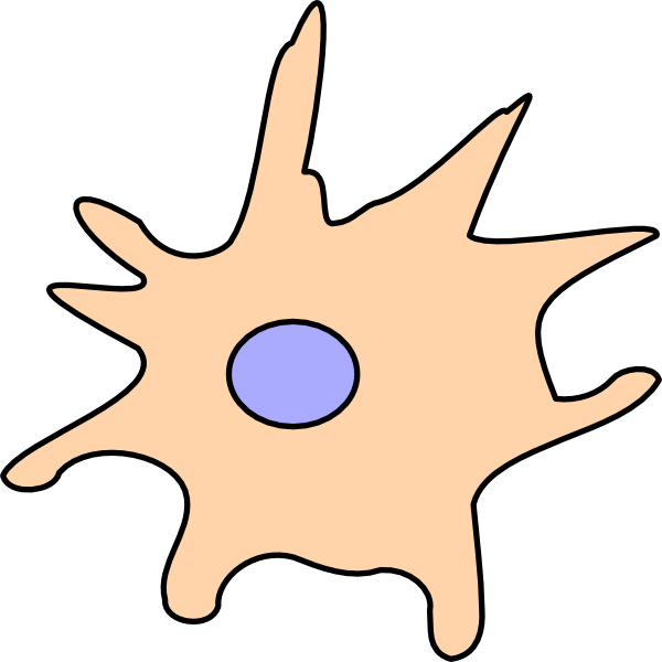 Cell Clip Art (600x600)