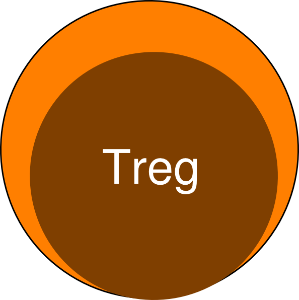 Circle (594x596)