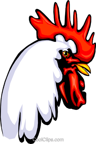 Rooster - Rooster (321x480)