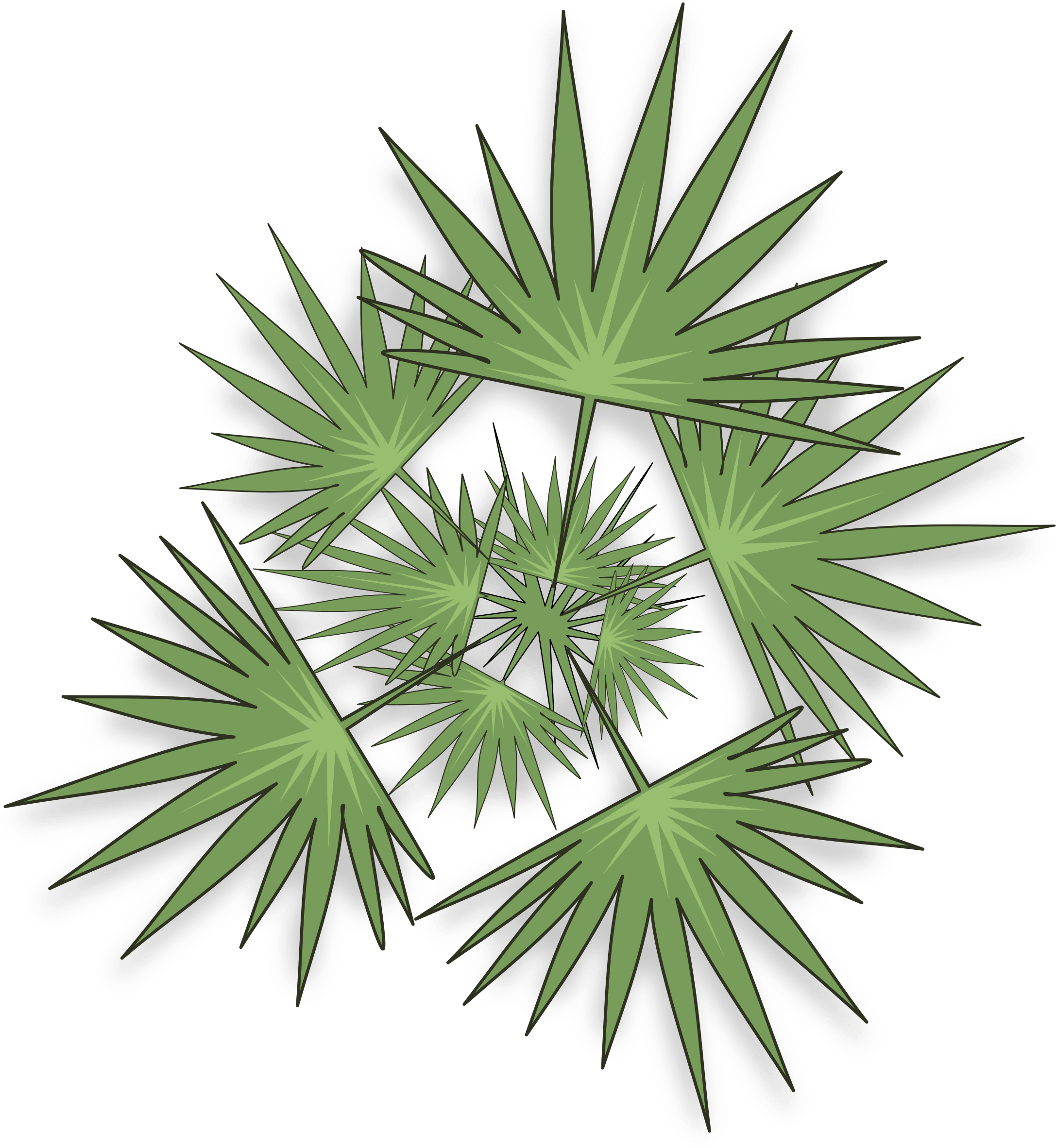 Clipart Palm - Palm Trees (2400x2400)