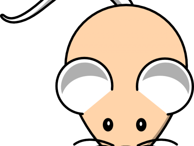 Related Posts - Simple Easy Mouse Cartoon (640x480)