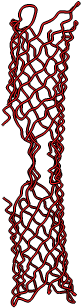 Biological Assembly - Biological Assembly (350x350)