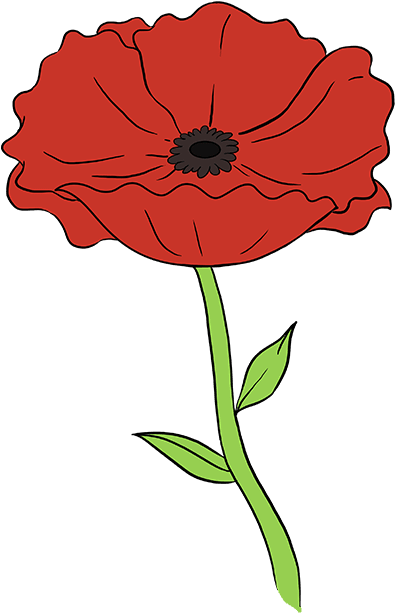 How To Draw A Really Easy Drawing - Step By Step Poppy Drawing (680x678)
