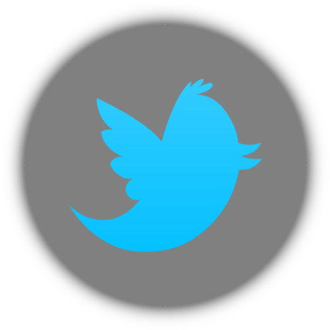 Twitter Logo Transparent - Twitter (480x480)