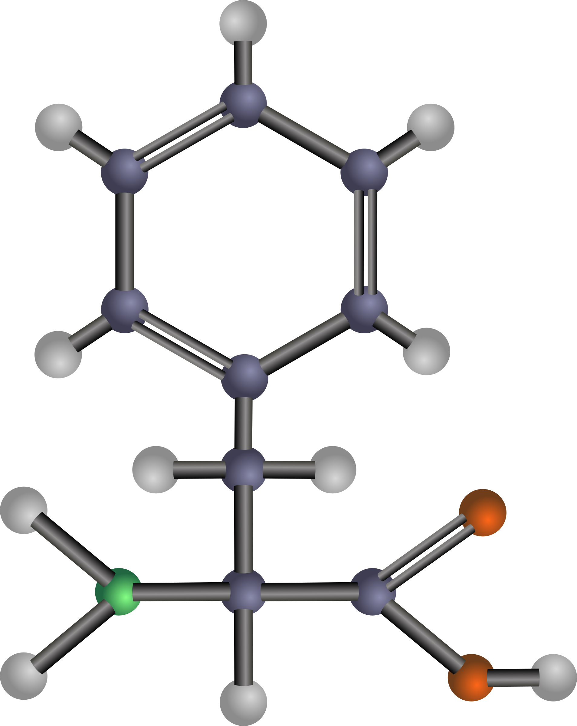 Phenylalanine - Phenylalanine (1907x2400)