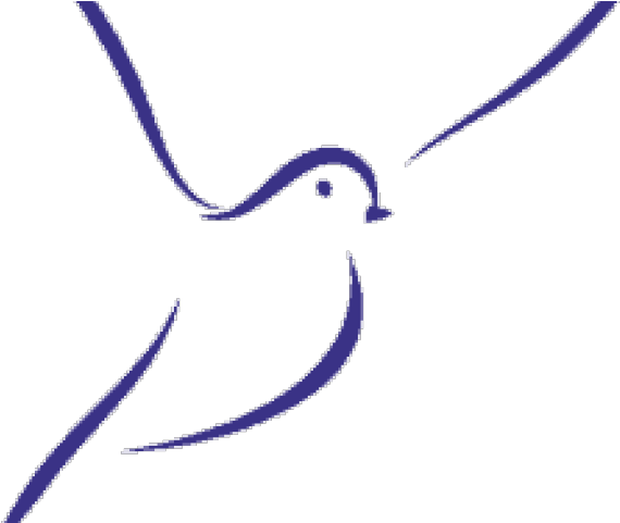 Wordpress Logo Clipart Dove - Drawing (640x480)