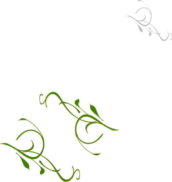 Vine Clip Art (564x597)