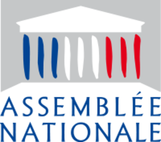 National Assembly Formed - Logo Assemblée Nationale Vectoriel (542x480)