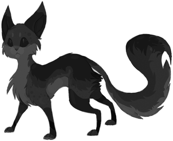 Miaou - - Chinese Crested Dog (640x576)