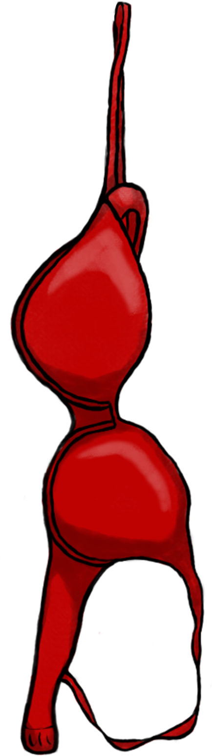 Bra - Bra Clip Arts (495x1610)