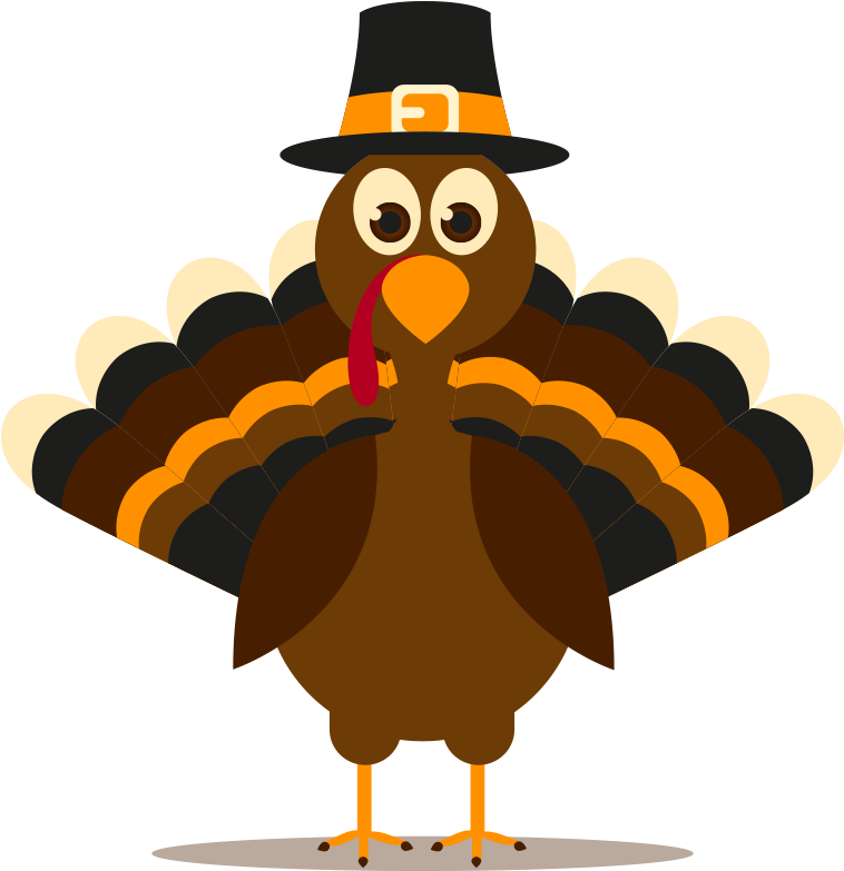 Turkey Led Lights And Sounds 18" X 30" Kitchen Mat (800x800)