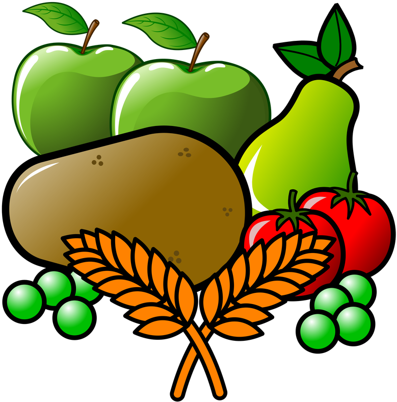 Clip Art (800x800)