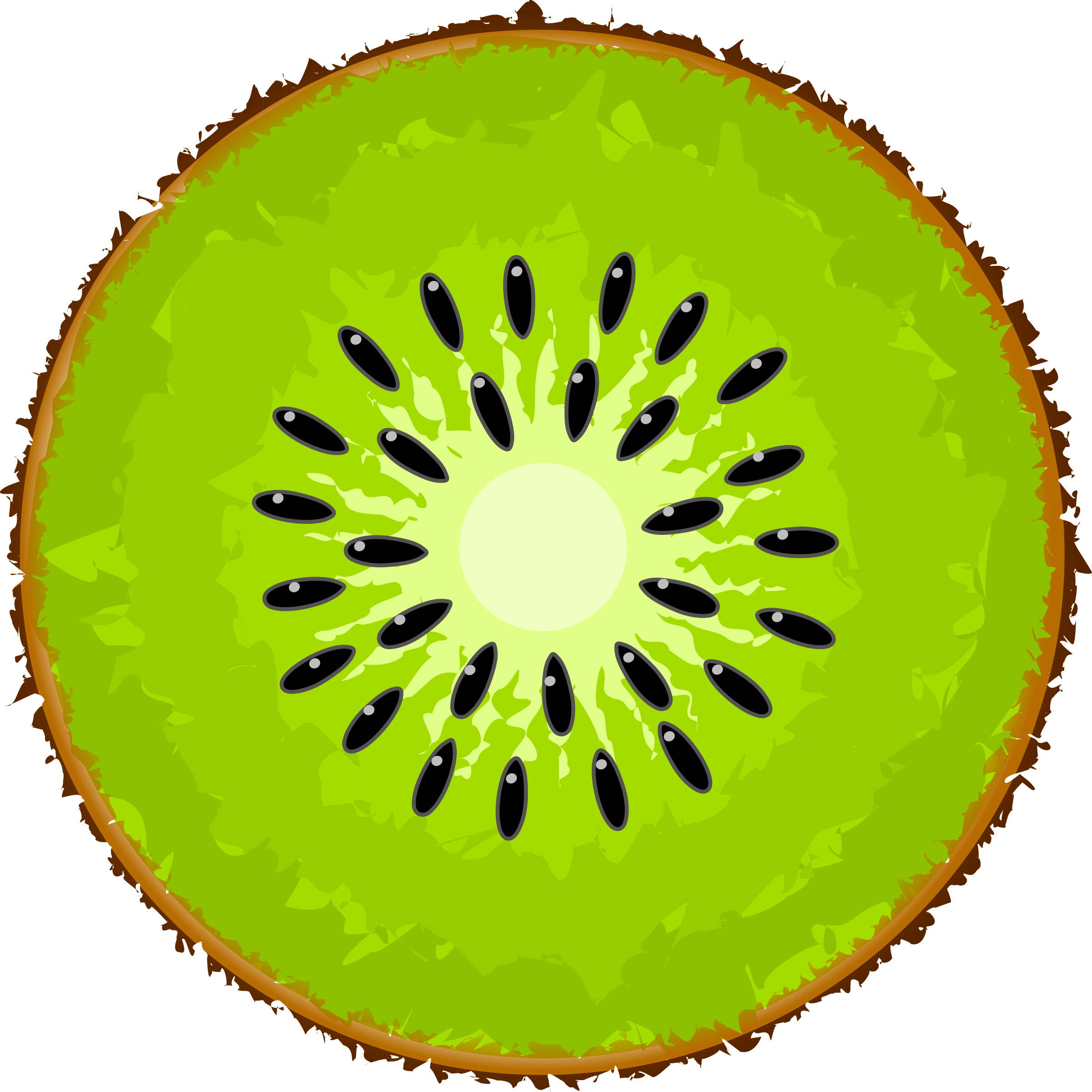 Medium Image - Kiwi Clipart (2400x2399)