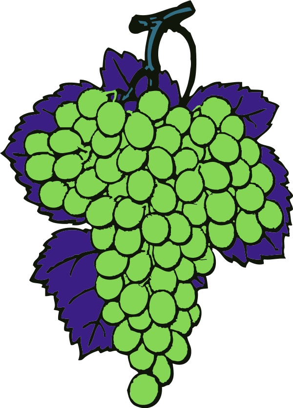 Grapes Vine Fruit - طريقة رسم عنقود عنب (600x834)