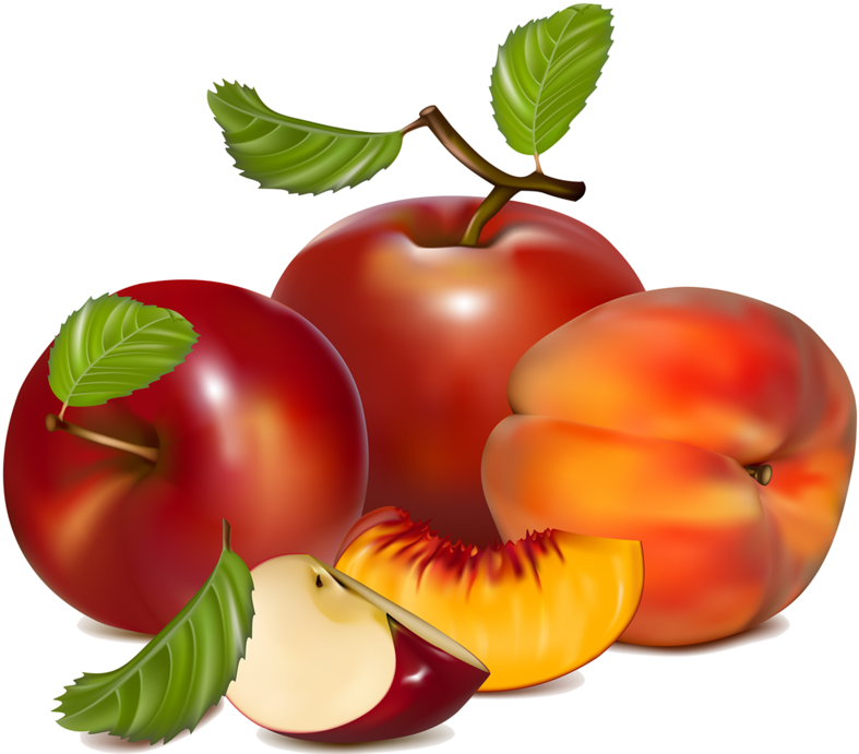Fruit Vectorfood Clipartred - Fruit Vector (800x694)
