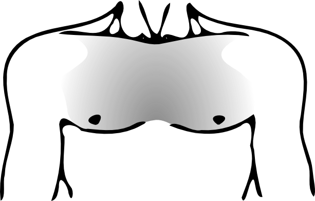 Human Chest Png (613x391)