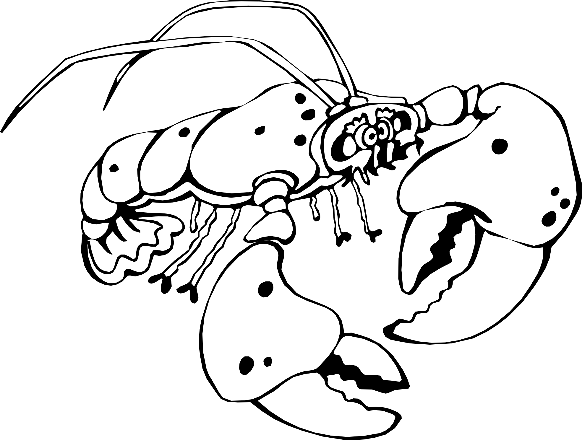 Line Art (1969x1490)