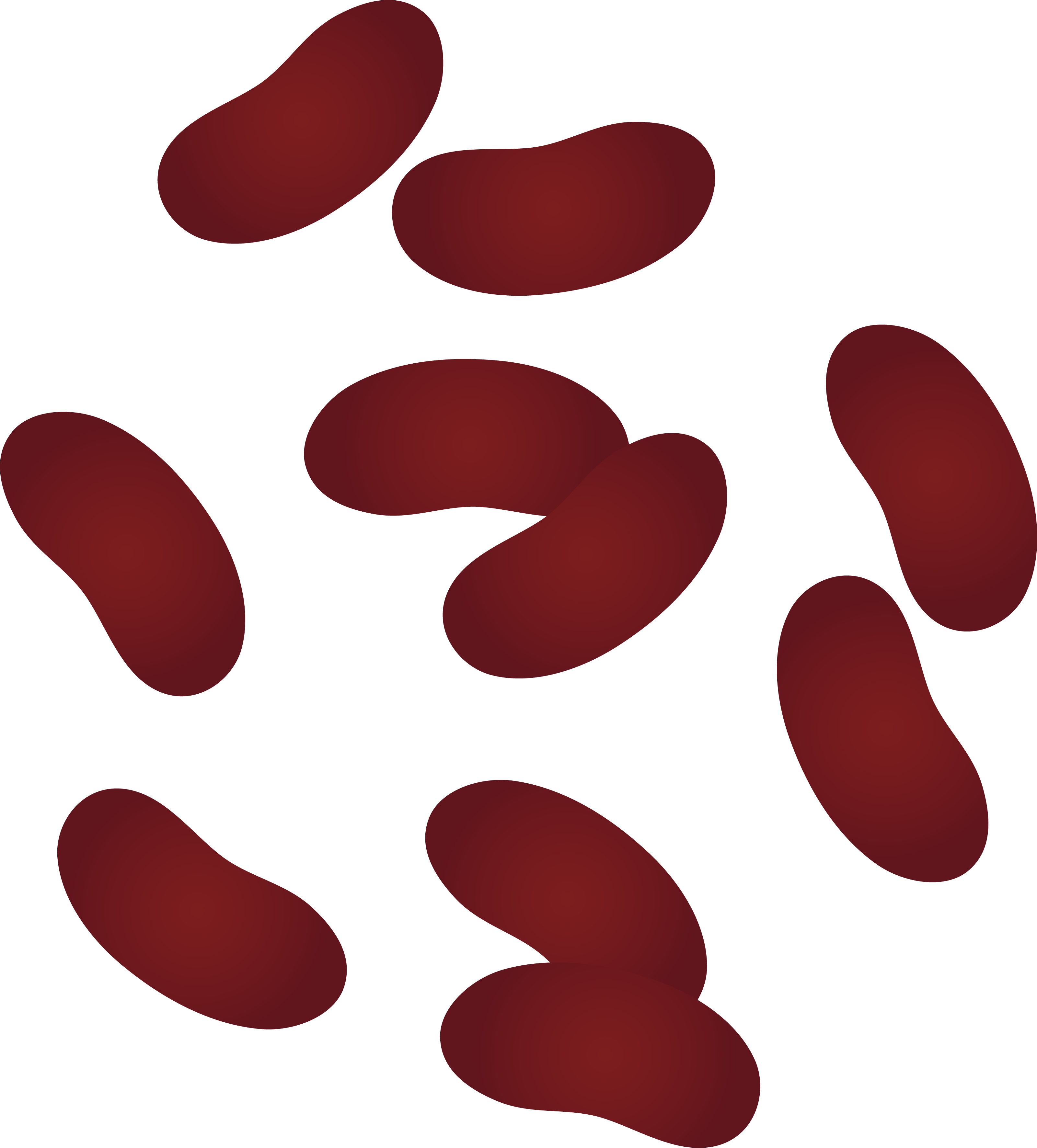 Beans Clipart (3201x3545)