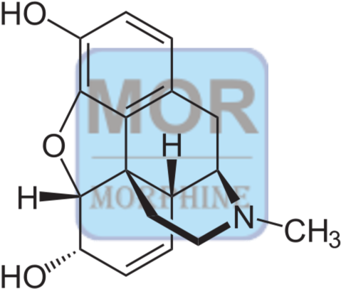 Morphine Conjugate - Structure Of Codeine (500x500)
