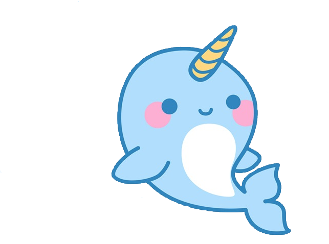 Image - Cartoon Narwhal (800x600)