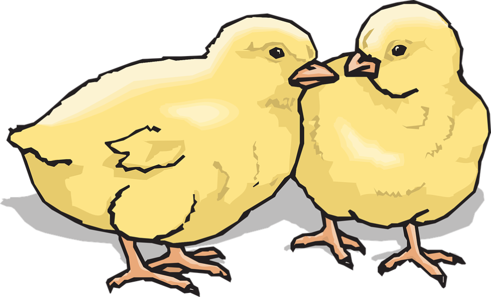 Chicks - Don't Mess With Texas (964x583)