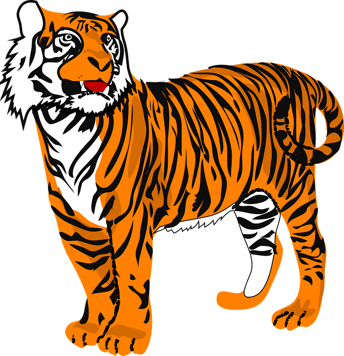 Tiger Clipart (695x720)